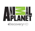 Animal Planet HD